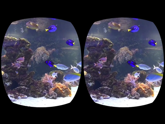 Aquarium Videos for Cardboard iPad app afbeelding 5