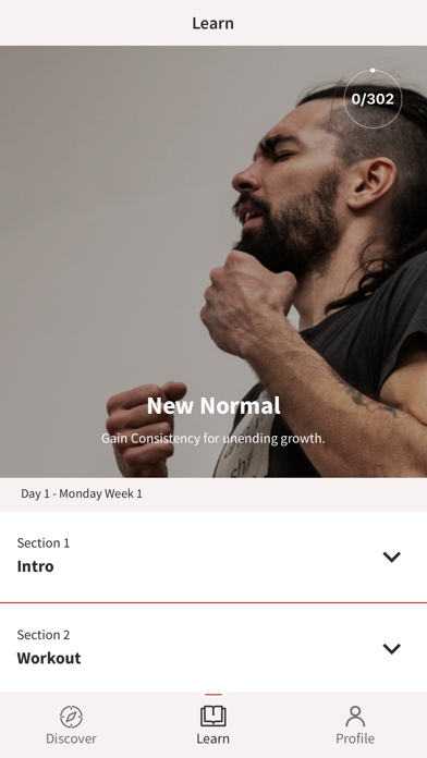 Screenshot #2 pour New:Normal