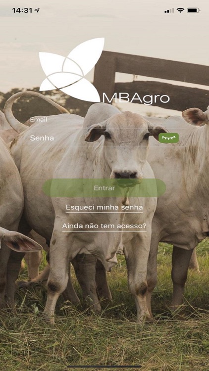 MB Agro