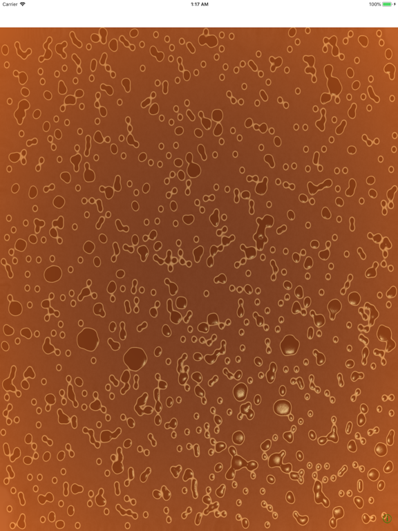 Screenshot #4 pour Ramen Soup Simulator