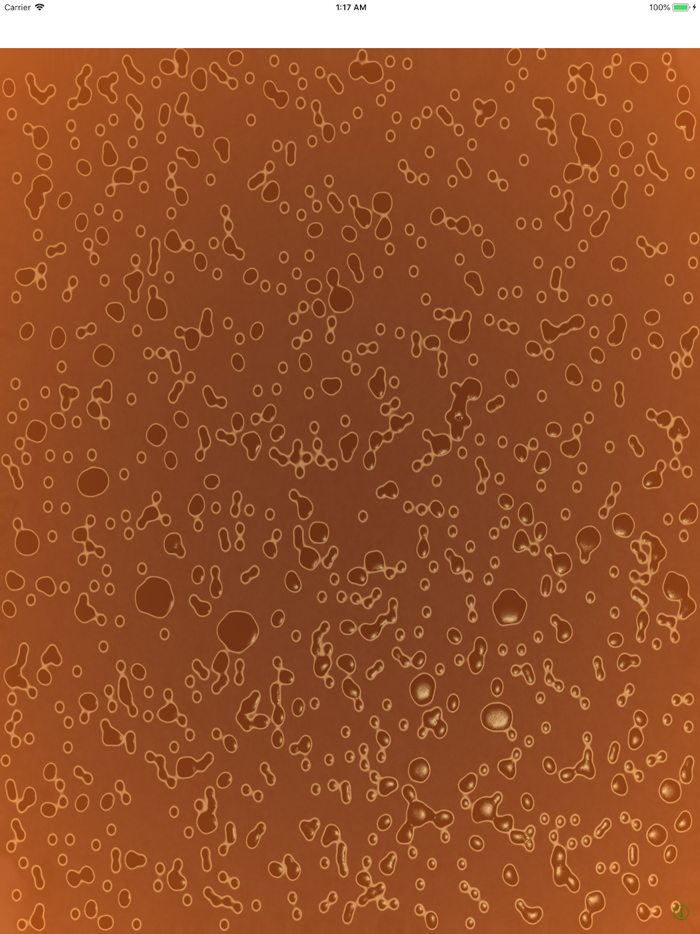 Ramen Soup Simulator