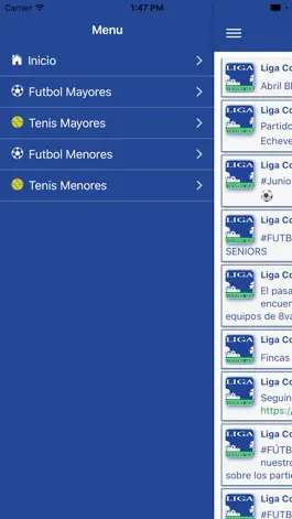 Game screenshot Liga Country Sur hack
