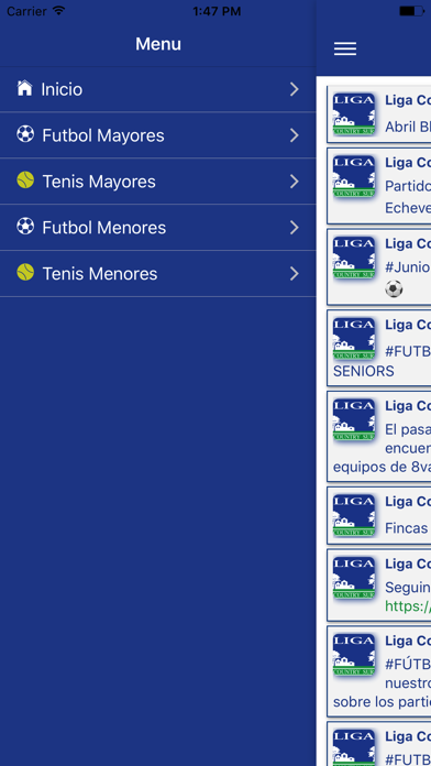 Liga Country Sur Screenshot