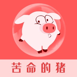 苦命的猪