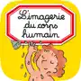 L'imagerie du corps humain