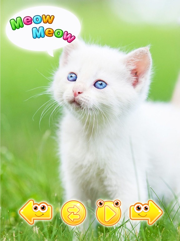 Screenshot #4 pour Jeux de nom et bruit d animaux