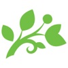 MagNet Bank MagNet Bank