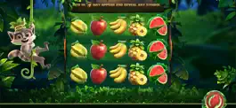 Game screenshot KuarixCasino apk