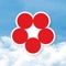 星晨旅遊 (Morning Star Travel Service Ltd