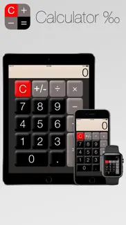 calculator‰ problems & solutions and troubleshooting guide - 2