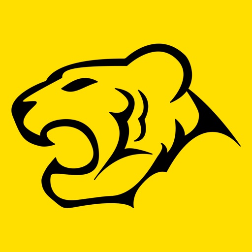 TigerWit Pro