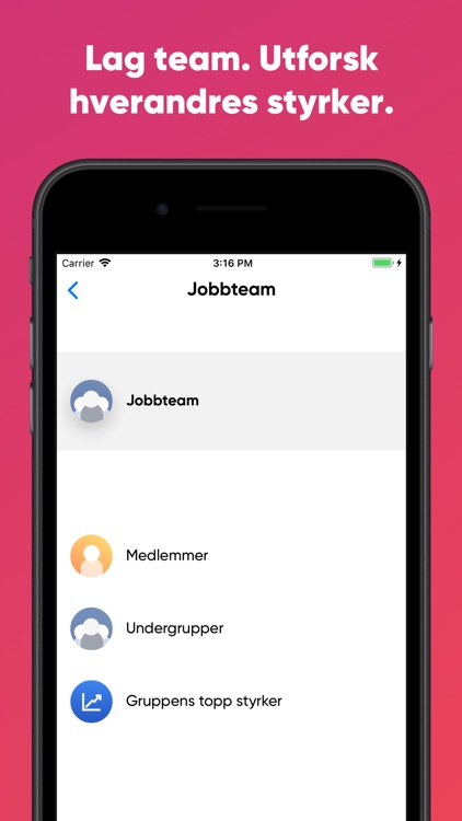 LivsStyrker screenshot-3
