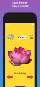 Learn Tamil FlashCards screenshot #6 for iPhone