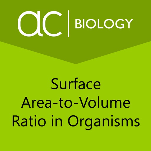 Surface Area-to-Volume Ratio