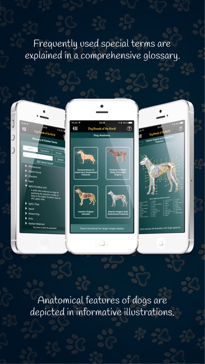 Dog Breeds of the World screenshot-4