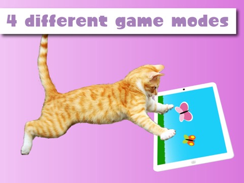 ハッピーキャットProは猫や子猫用のゲームです。のおすすめ画像3