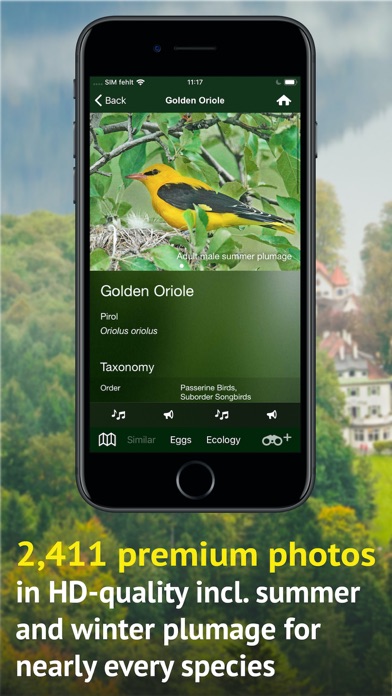 All Birds Germany Screenshot