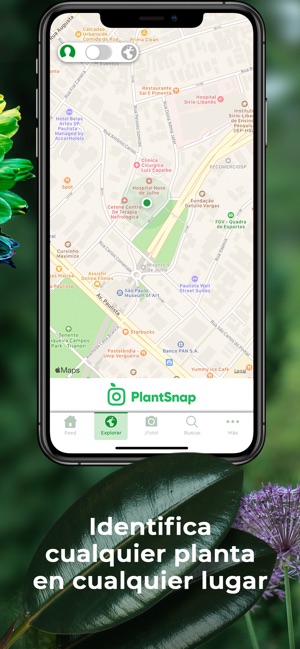 PlantSnap: identifica plantas en App Store