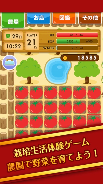 みんなでほのぼの農園ライフ