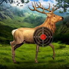 Activities of Deer Target Shooting