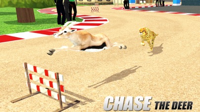 Crazy Wild Animal Racing Game Screenshot