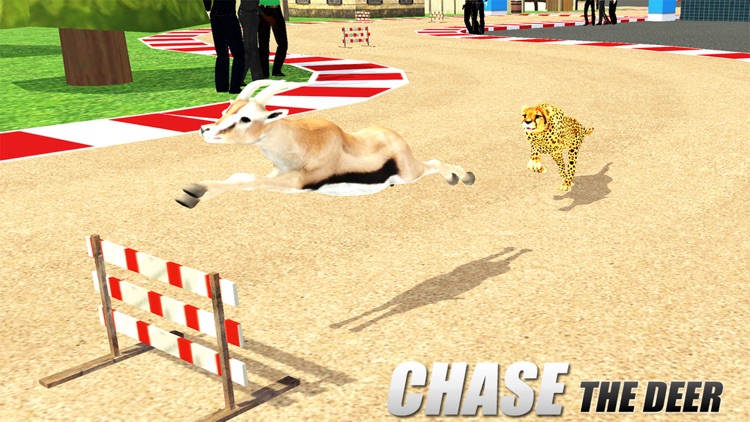 Crazy Wild Animal Racing Game
