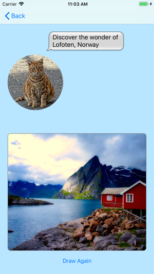 Fluky Cats(圖5)-速報App