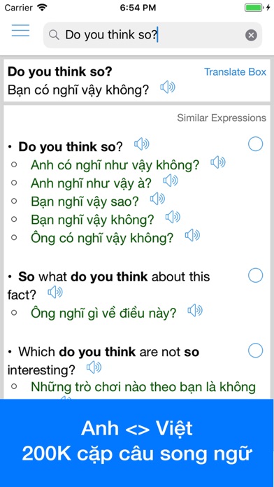 Vietnamese Translator Offline Screenshot