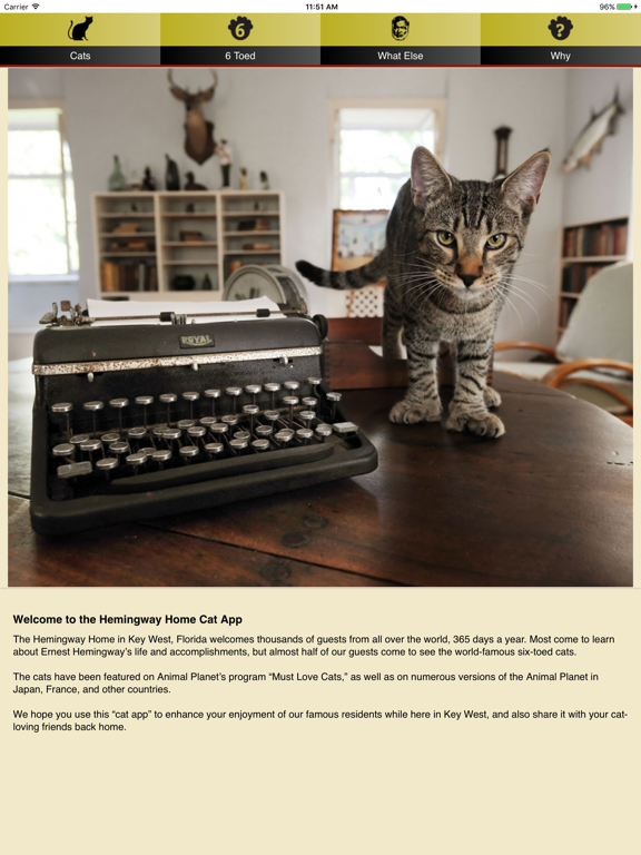 Screenshot #4 pour Hemingway Cats
