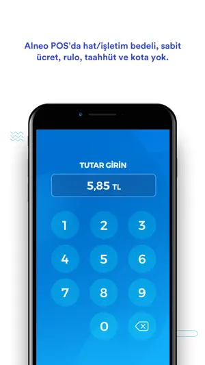 IV Alneo POS screenshot 3
