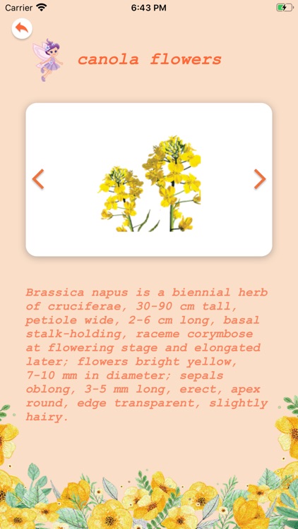 CognitionFlowers screenshot-3