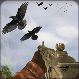 Simulateur  chasse aux oiseaux