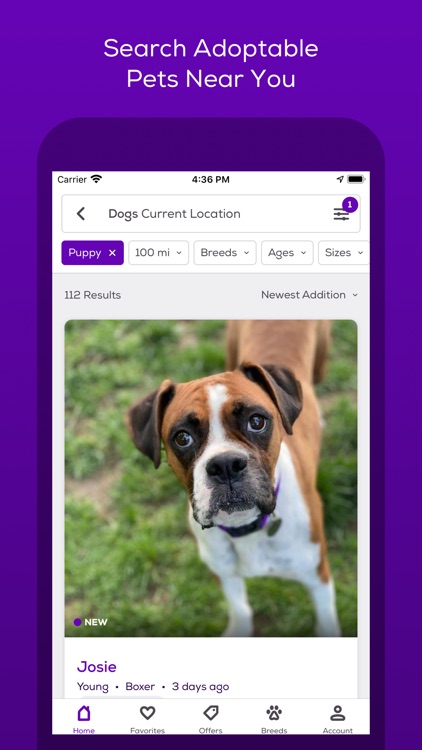 Petfinder Adoptable Pets