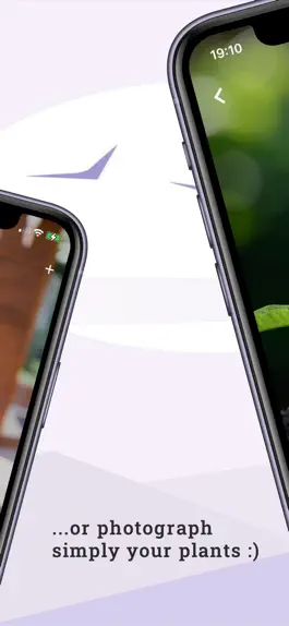 Game screenshot Memories - Timelapse Videos apk