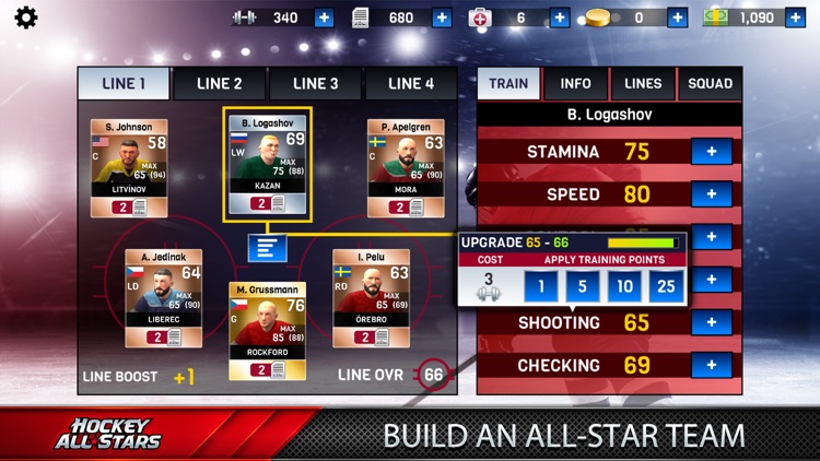 Hockey All Stars