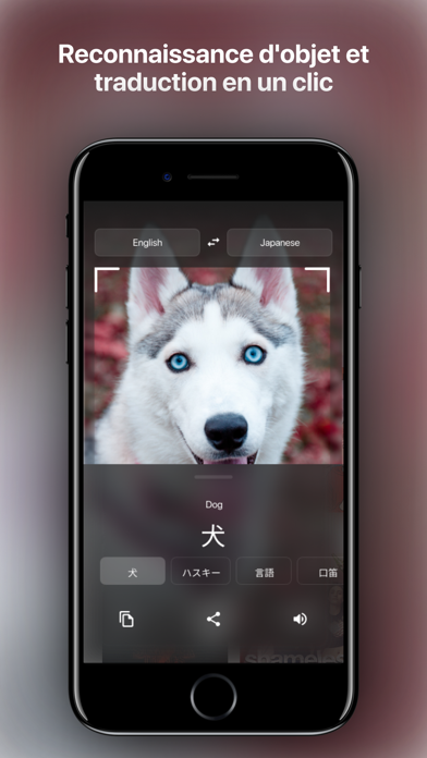 Screenshot #3 pour Magic Translator