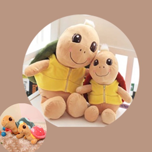 My Family Turtle Doll Records