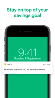 loot - savings goal & tracker iphone screenshot 4