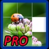 Photo Puzzle Game Pro