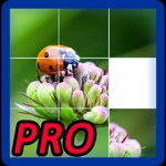 Download Photo Puzzle Game Pro app