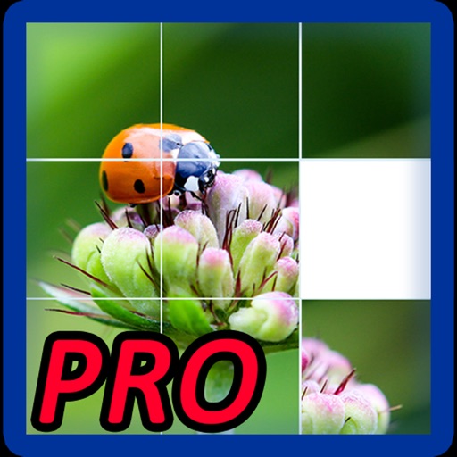 Photo Puzzle Game Pro icon