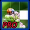 Icon Photo Puzzle Game Pro