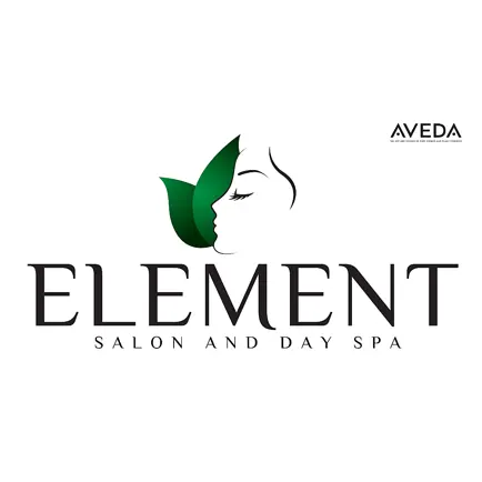 Element Salon and Day Spa Cheats