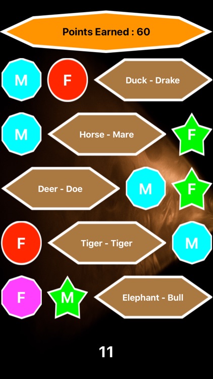 Animal MF Challange screenshot-3