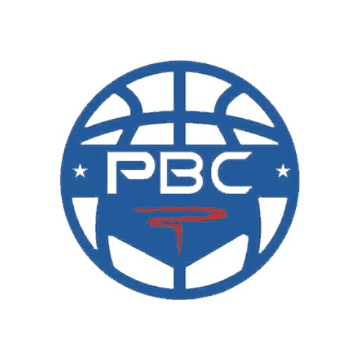 Platform Basketball Circuit icon