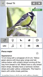 pocket bird guide, netherlands iphone screenshot 1