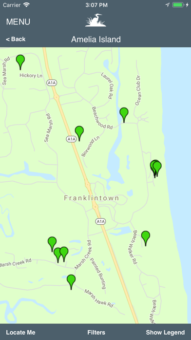 Amelia Island Real Estate Screenshot