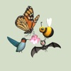 Pollinators AR icon