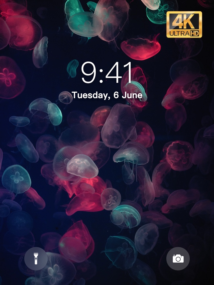 Widget for Live Wallpaper 4K App for iPhone - Free Download Widget for ...