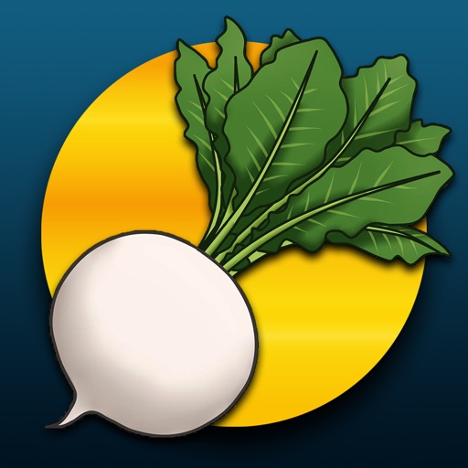 カブ予想-あつ森